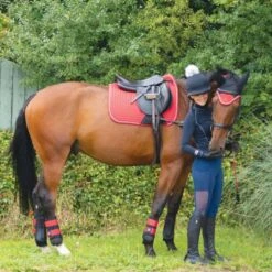 Woof Wear Club Brushing Boot Colour Fusion (Royal Red) -Professional Equestrian Shop 10148c