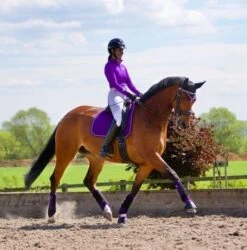 Woof Wear Pro Overreach Boot Colour Fusion (Black/Ultra Violet) 7 Woof Wear Pro Overreach Boot Colour Fusion (Black/Ultra Violet) -Professional Equestrian Shop 10158d