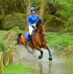 Woof Wear Dressage Wrap Colour Fusion (Electric Blue) 5 Woof Wear Dressage Wrap Colour Fusion (Electric Blue) -Professional Equestrian Shop 10161c