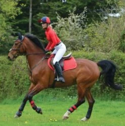 Woof Wear Dressage Saddle Cloth Colour Fusion (Royal Red) -Professional Equestrian Shop 10220c