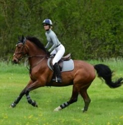 Woof Wear Dressage Saddle Cloth Colour Fusion (Brushed Steel) -Professional Equestrian Shop 10223c