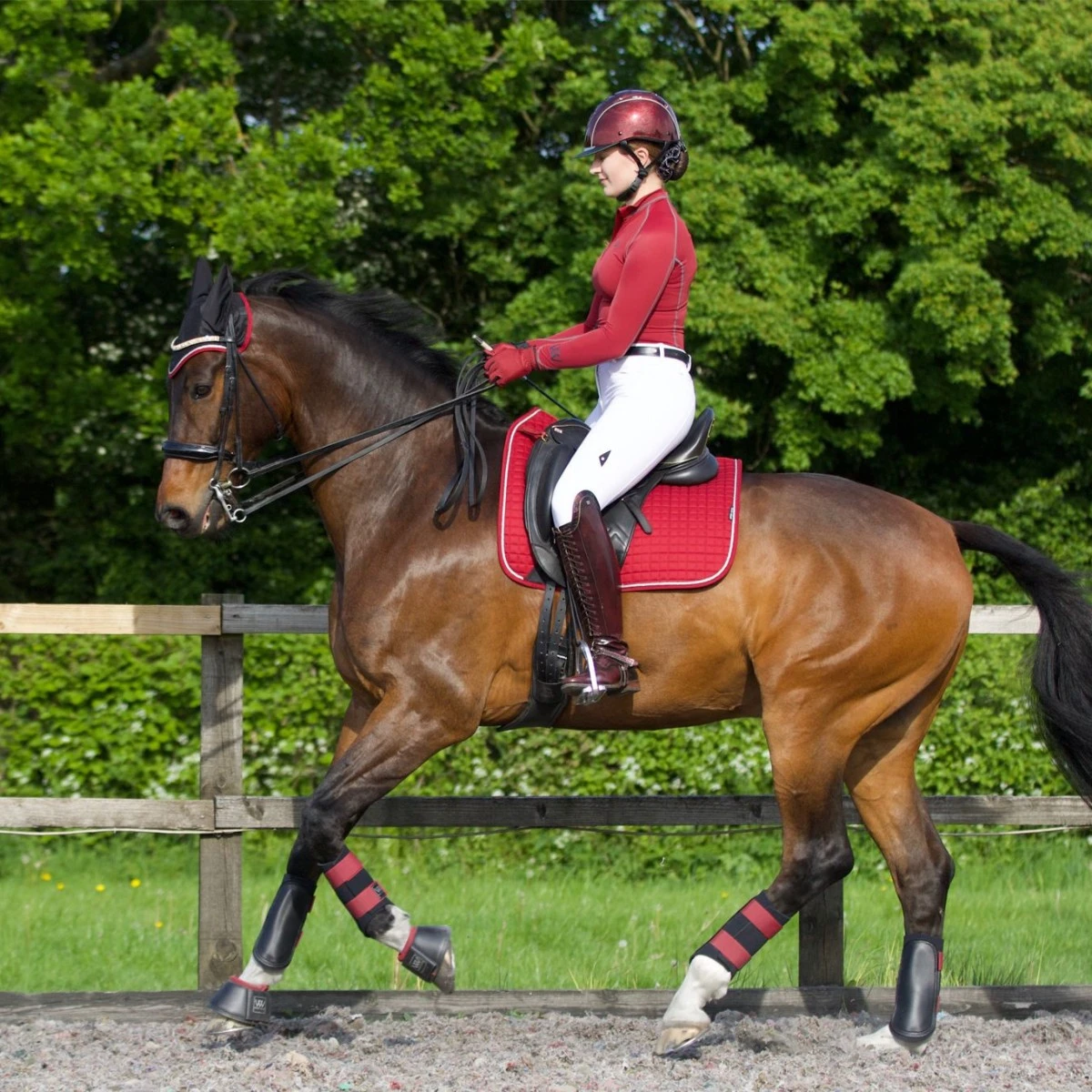 Woof Wear Close Contact Saddle Cloth Colour Fusion (Shiraz) 2 Woof Wear Close Contact Saddle Cloth Colour Fusion (Shiraz) - Image 2