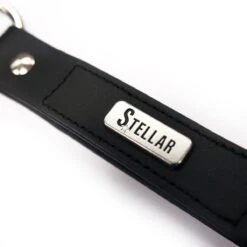 Equilibrium Stellar Headcollar (Black) -Professional Equestrian Shop 10375c