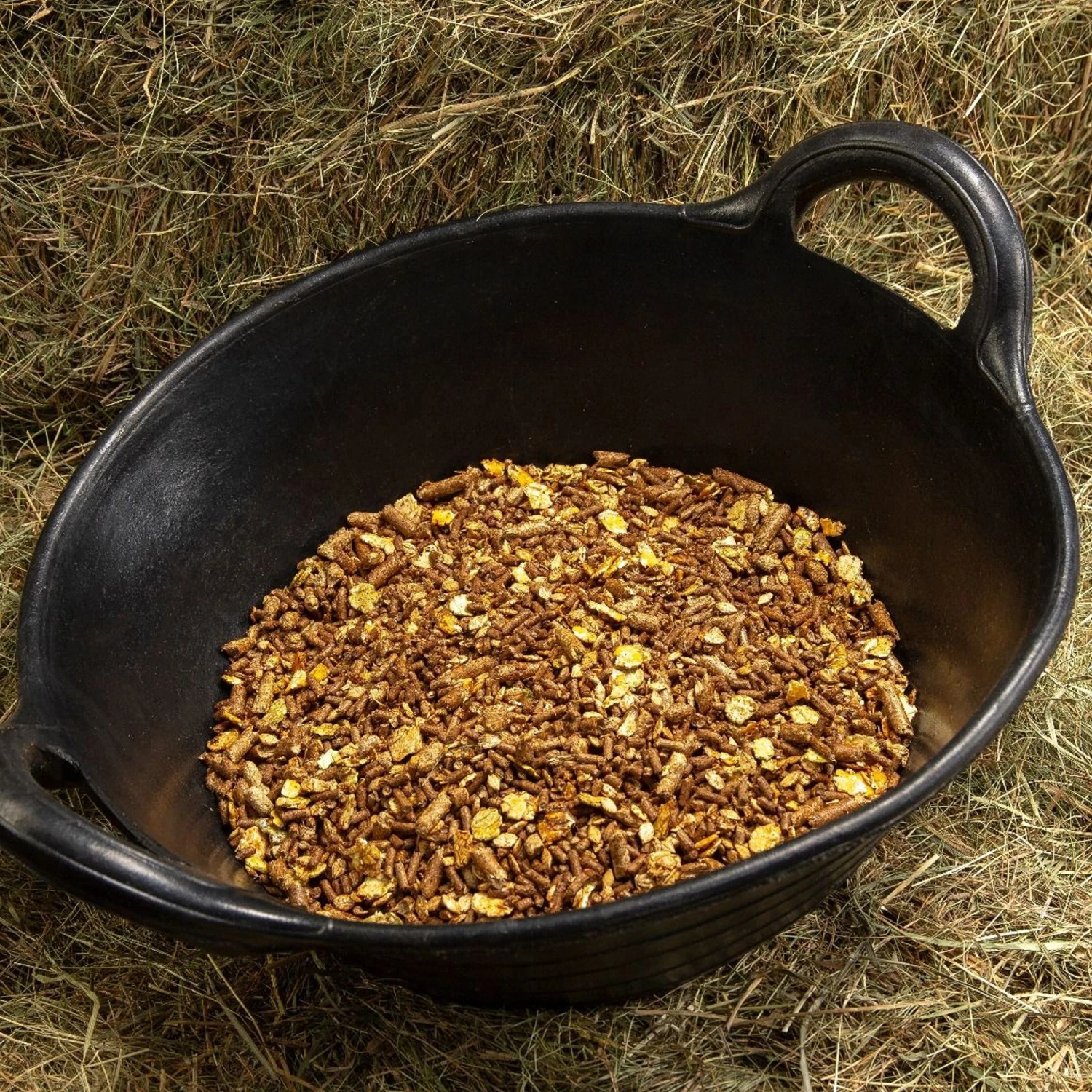 Spillers Cool Mix (20kg) 3 Spillers Cool Mix (20kg) - Image 3