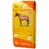 TopSpec Super Conditioning Flakes