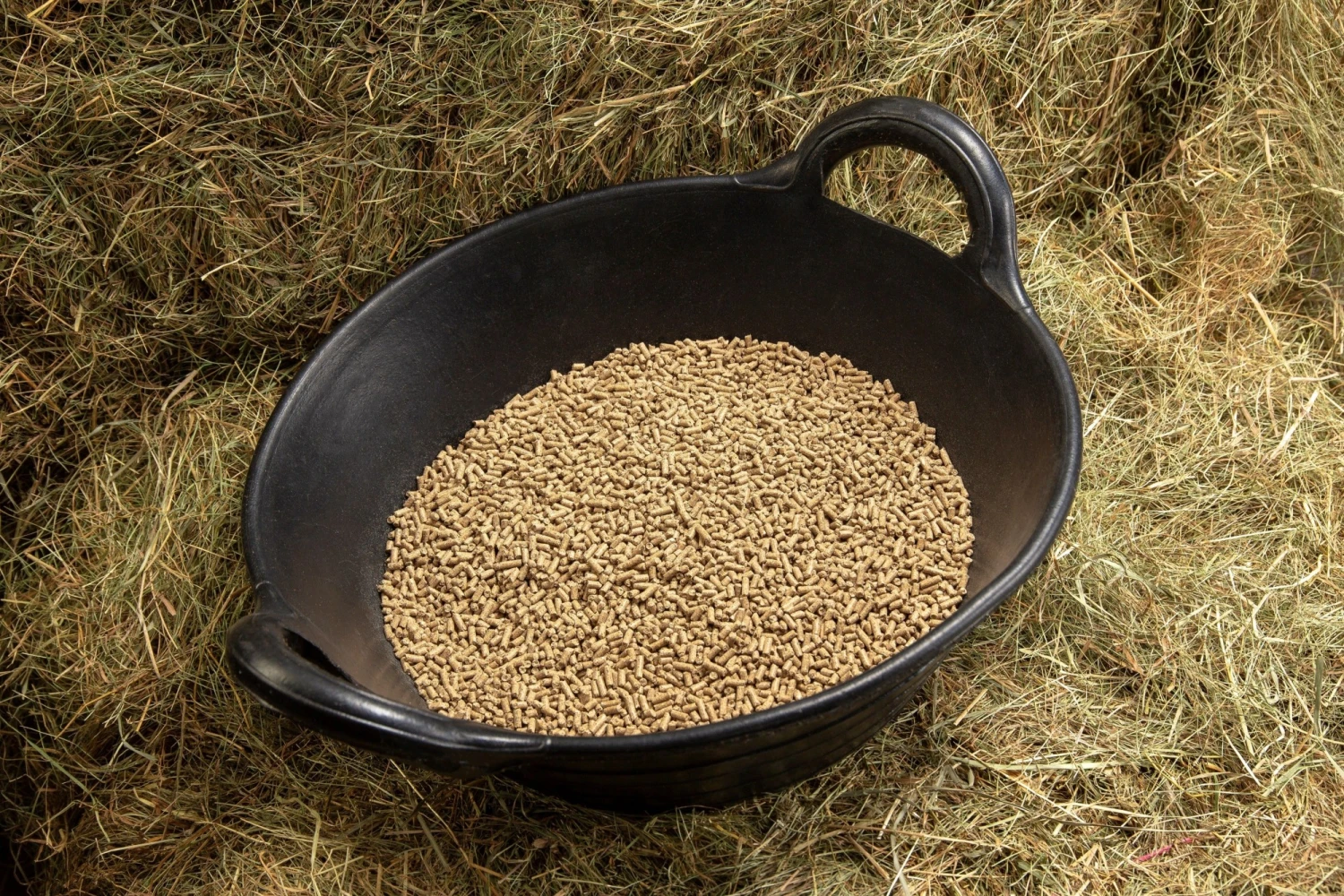 Spillers Daily Balancer (15kg) 4 Spillers Daily Balancer (15kg) - Image 4