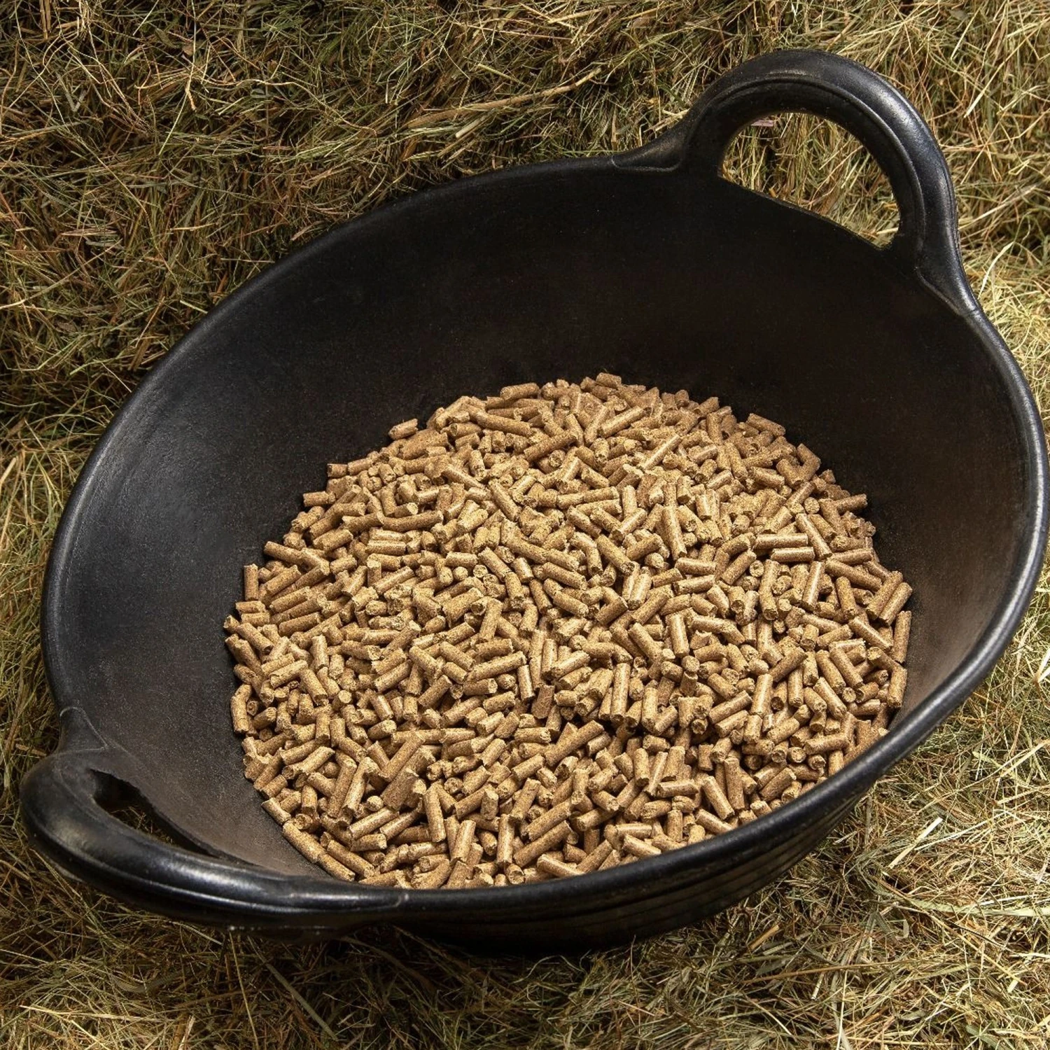 Spillers Digest + Conditioning Cubes (20kg) 3 Spillers Digest + Conditioning Cubes (20kg) - Image 3