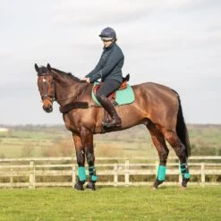 Equilibrium Tri-Zone All Sports Boots (Teal) -Professional Equestrian Shop 10872d