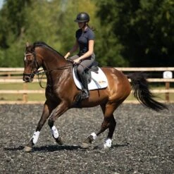 Equilibrium Tri-Zone Open Fronted Tendon Boots (White) 9 Equilibrium Tri-Zone Open Fronted Tendon Boots (White) -Professional Equestrian Shop 10876e