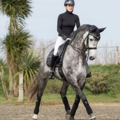 Woof Wear Vision Fly Veil (Black) -Professional Equestrian Shop 11390c