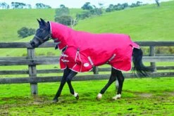 Weatherbeeta Comfitec Classic Turnout Rug Combo Neck 300g Heavyweight (Red/Silver/Navy) -Professional Equestrian Shop 11434c