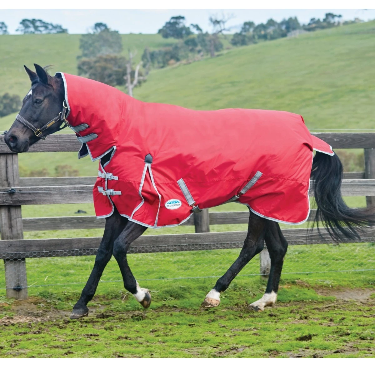 Weatherbeeta ComfiTec Classic Turnout Combo 0g Light (Red/Silver/Navy) 1 Weatherbeeta ComfiTec Classic Turnout Combo 0g Light (Red/Silver/Navy)