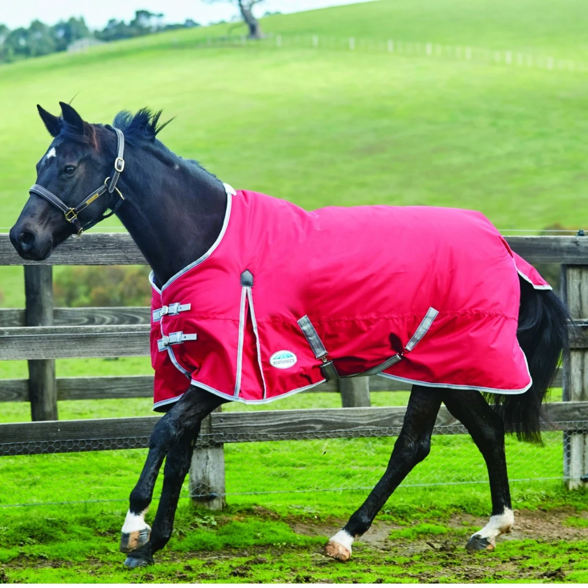 Weatherbeeta ComfiTec Classic Turnout Standard 0g Light (Red/Silver/Navy) 1 Weatherbeeta ComfiTec Classic Turnout Standard 0g Light (Red/Silver/Navy)