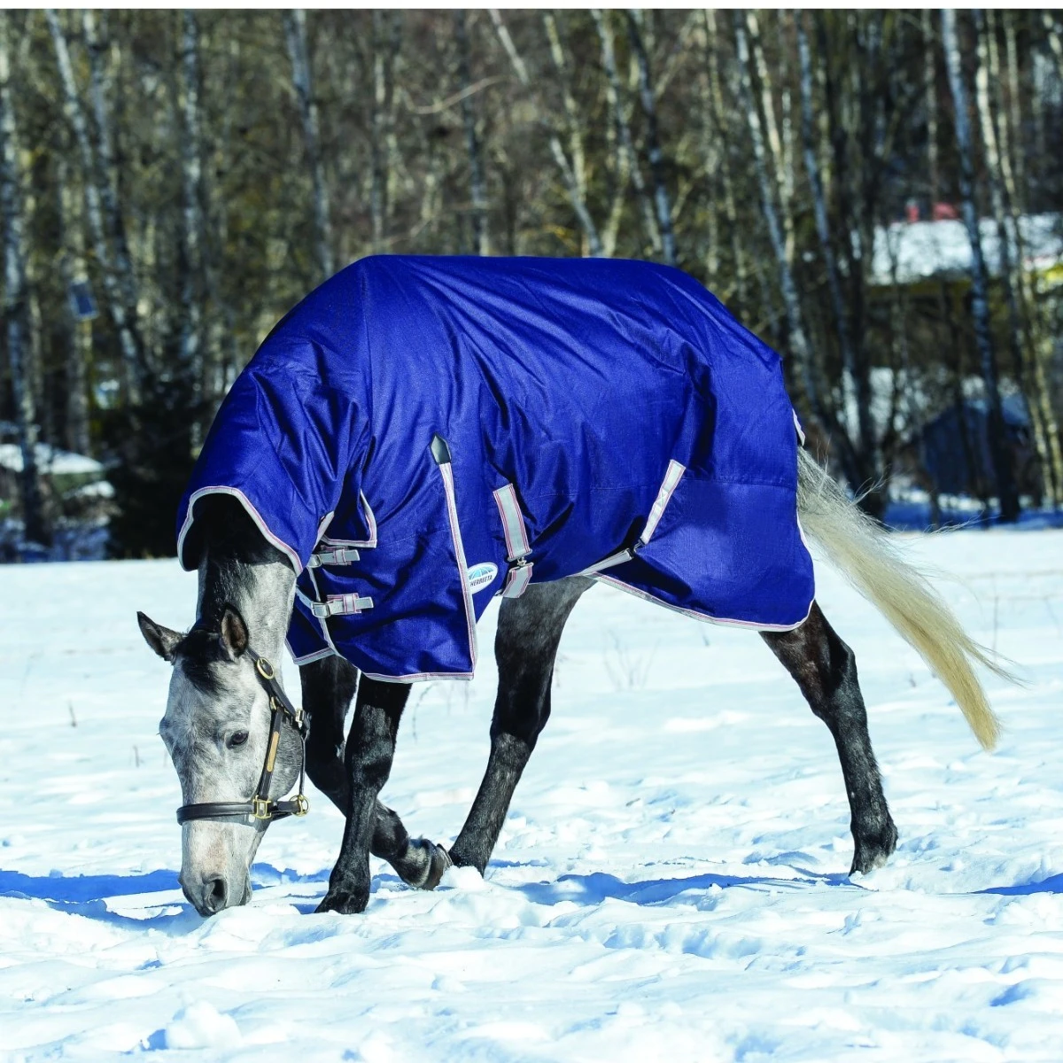 Weatherbeeta ComfiTec Essential Turnout Combo 220g Medium (Navy/Red) 2 Weatherbeeta ComfiTec Essential Turnout Combo 220g Medium (Navy/Red) - Image 2