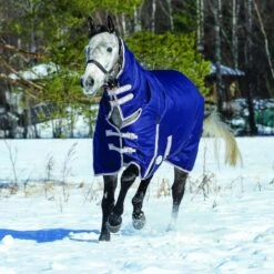 Weatherbeeta ComfiTec Essential Turnout Combo 220g Medium (Navy/Red) 7 Weatherbeeta ComfiTec Essential Turnout Combo 220g Medium (Navy/Red) -Professional Equestrian Shop 11456d