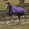 Weatherbeeta ComfiTec Plus Dynamic Turnout Combo 220g Med/Lite (Purple/Black)