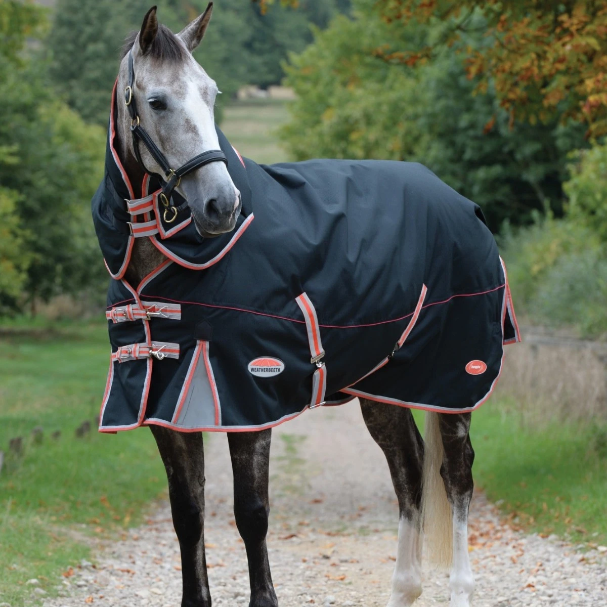 Weatherbeeta ComfiTec Premier With Therapy-Tec Detach-A-Neck 50g Lightweight Plus (Black/Silver/Red) 1 Weatherbeeta ComfiTec Premier With Therapy-Tec Detach-A-Neck 50g Lightweight Plus (Black/Silver/Red)