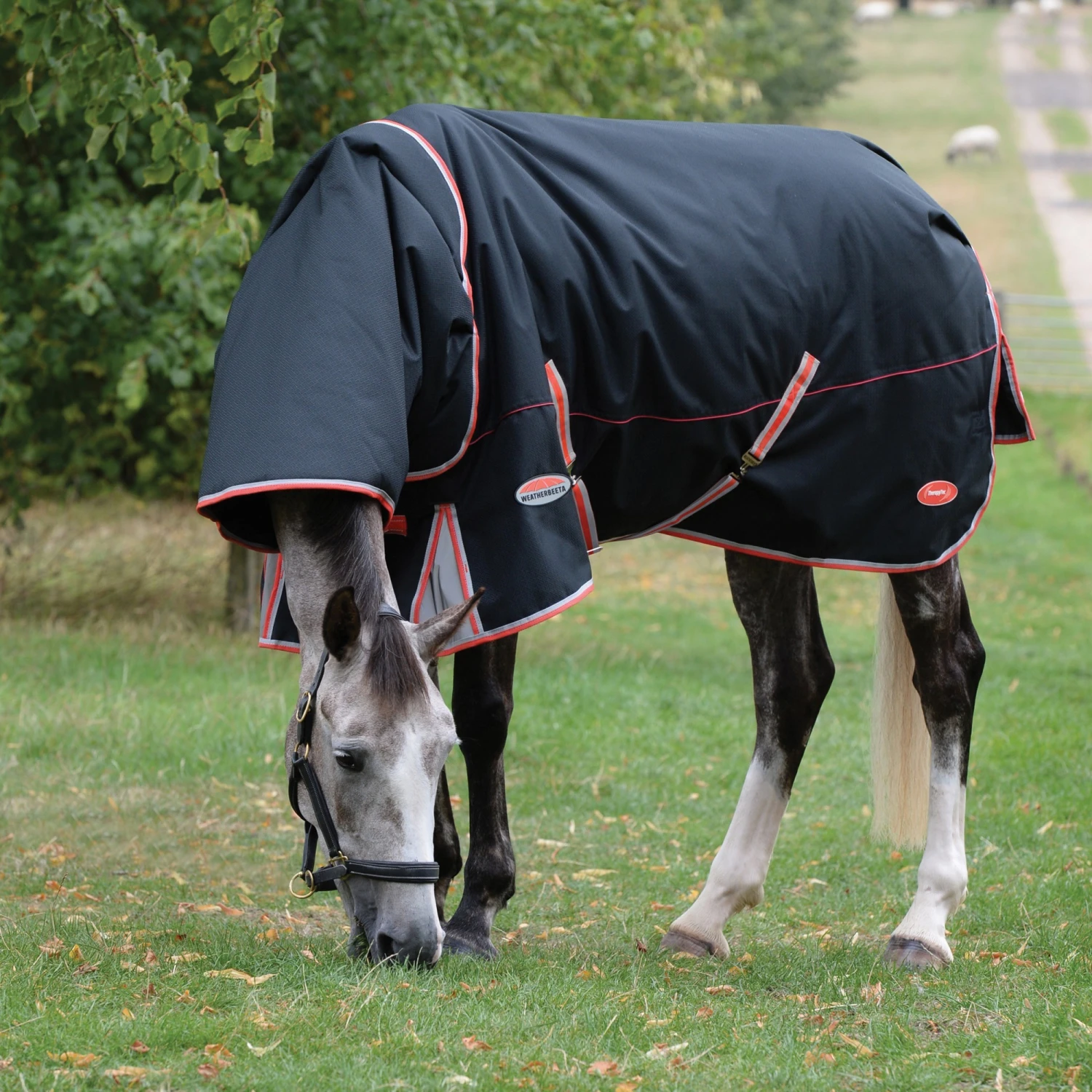 Weatherbeeta Comfitec Premier With Therapy-Tec Turnout Rug Detach-A-Neck 220g Mediumweight (Black) 1 Weatherbeeta Comfitec Premier With Therapy-Tec Turnout Rug Detach-A-Neck 220g Mediumweight (Black)