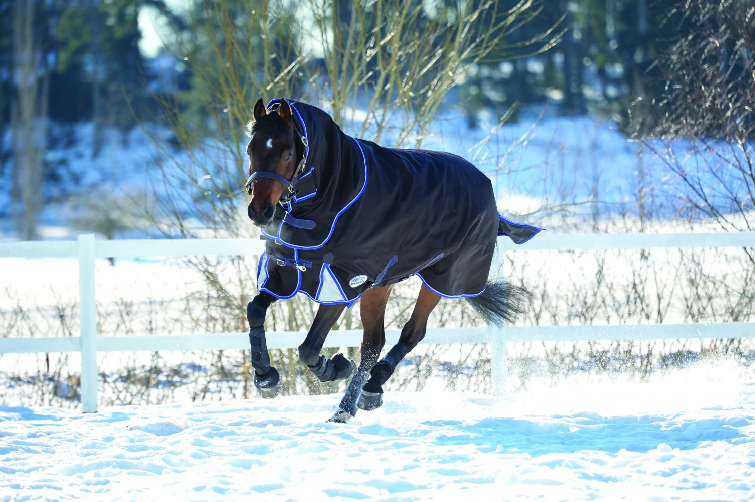 Weatherbeeta ComfiTec Ultra Cozi II Turnout Detach Neck Medium 220g (Charcoal) 1 Weatherbeeta ComfiTec Ultra Cozi II Turnout Detach Neck Medium 220g (Charcoal)