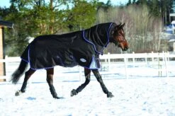 Weatherbeeta ComfiTec Ultra Cozi II Turnout Detach Neck Medium 220g (Charcoal) 7 Weatherbeeta ComfiTec Ultra Cozi II Turnout Detach Neck Medium 220g (Charcoal) -Professional Equestrian Shop 11526c