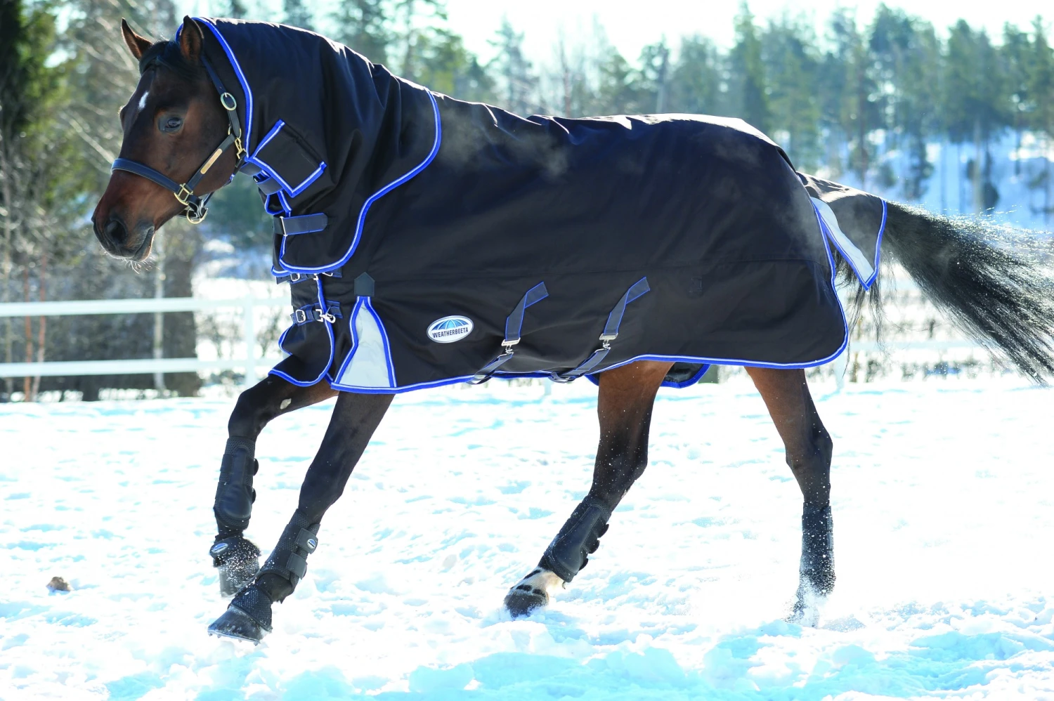 Weatherbeeta ComfiTec Ultra Cozi II Turnout Detach Neck Medium 220g (Charcoal) 4 Weatherbeeta ComfiTec Ultra Cozi II Turnout Detach Neck Medium 220g (Charcoal) - Image 4