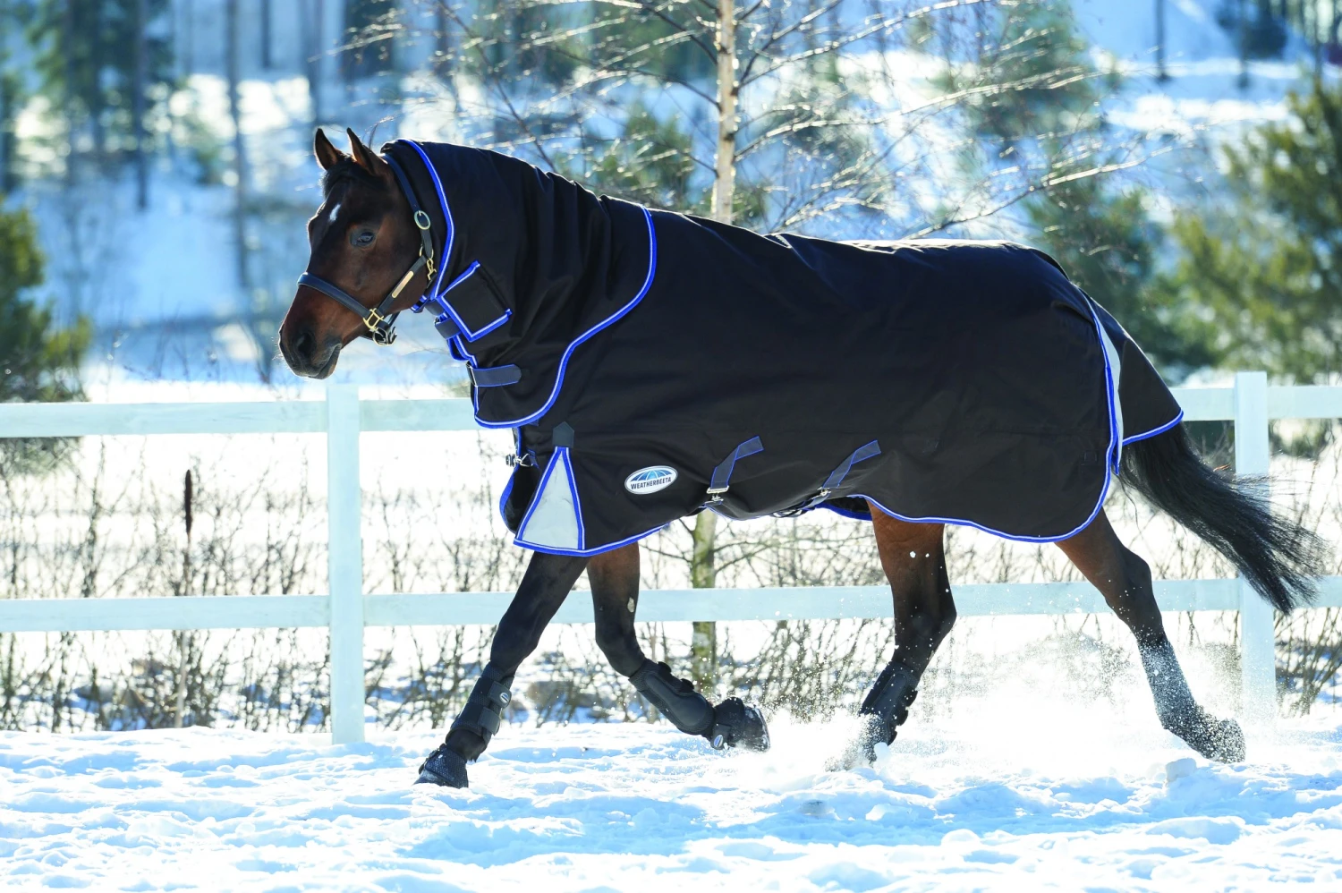 Weatherbeeta ComfiTec Ultra Cozi II Turnout Detach Neck Medium 220g (Charcoal) 5 Weatherbeeta ComfiTec Ultra Cozi II Turnout Detach Neck Medium 220g (Charcoal) - Image 5