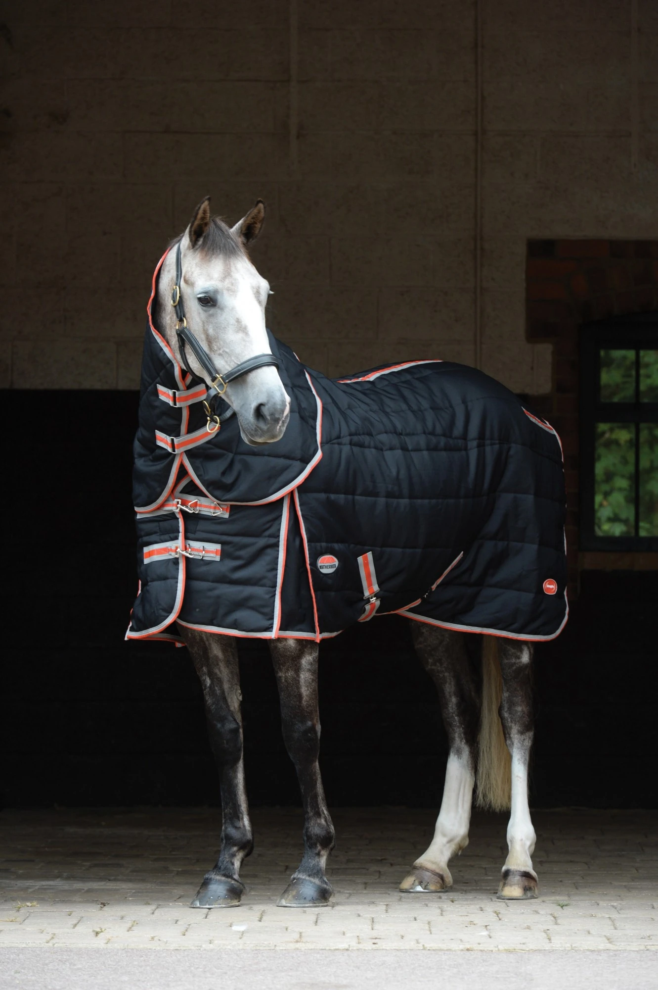 Weatherbeeta Comfitec Therapy-Tec Channel Quilt Detach-A-Neck 220g Medium (Black/Silver/Red) 1 Weatherbeeta Comfitec Therapy-Tec Channel Quilt Detach-A-Neck 220g Medium (Black/Silver/Red)