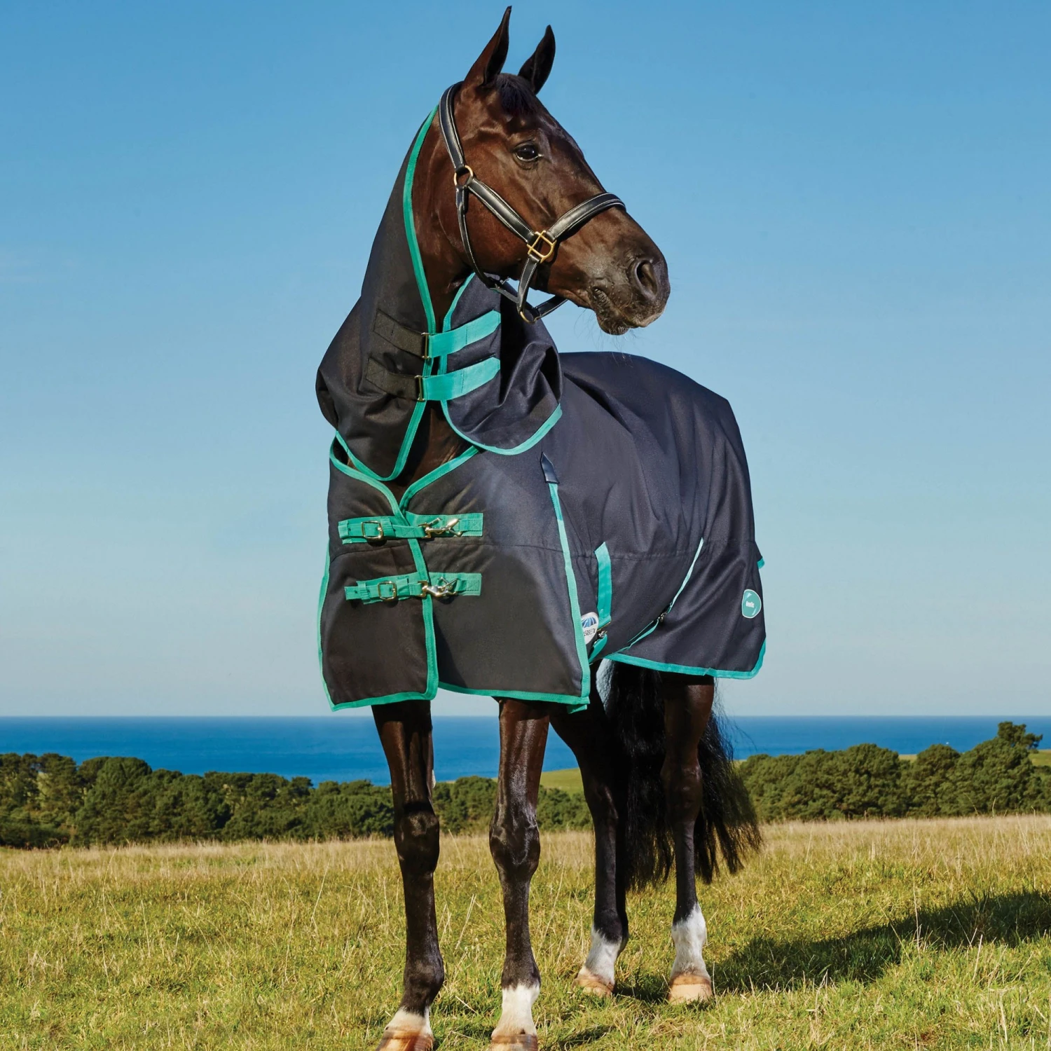 Weatherbeeta Green-Tec 900D Turnout Rug Detach-A-Neck 360g Heavyweight (Black/Bottle Green) 1 Weatherbeeta Green-Tec 900D Turnout Rug Detach-A-Neck 360g Heavyweight (Black/Bottle Green)
