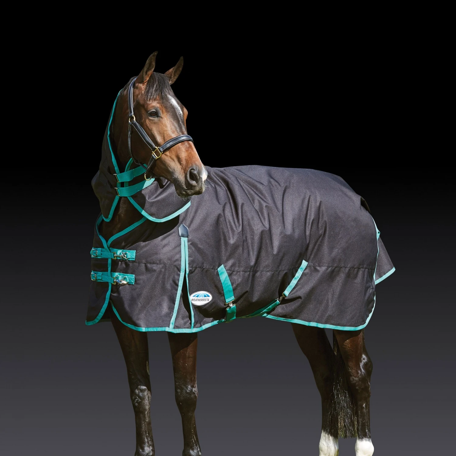 Weatherbeeta Green-Tec 900D Turnout Rug Detach-A-Neck 360g Heavyweight (Black/Bottle Green) 2 Weatherbeeta Green-Tec 900D Turnout Rug Detach-A-Neck 360g Heavyweight (Black/Bottle Green) - Image 2