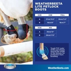 Weatherbeeta Lite Fetlock Boots (Black) 9 Weatherbeeta Lite Fetlock Boots (Black) -Professional Equestrian Shop 11650e