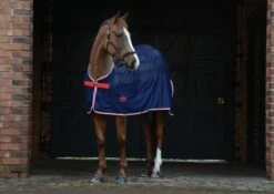 Weatherbeeta Scrim Cooler Standard Neck (Navy/Red/White)