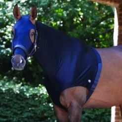 Weatherbeeta Stretch Hood With Zip (Navy) -Professional Equestrian Shop 11842c