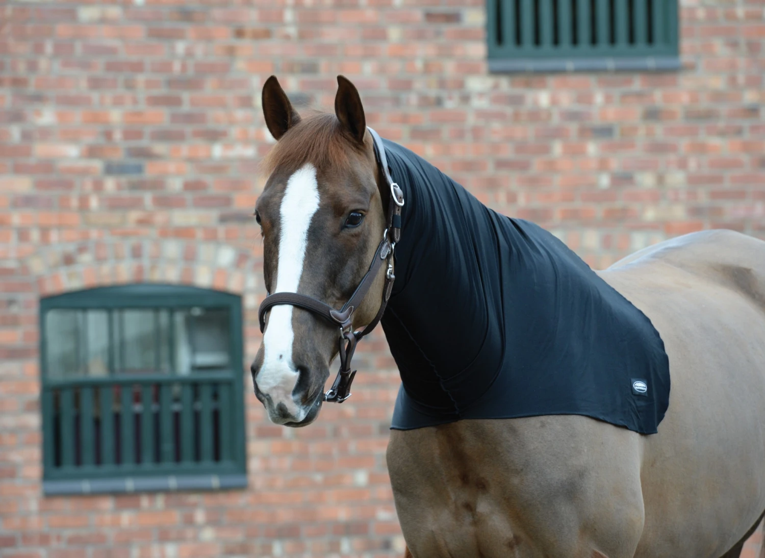 Weatherbeeta Stretch Neck Rug (Black) 1 Weatherbeeta Stretch Neck Rug (Black)