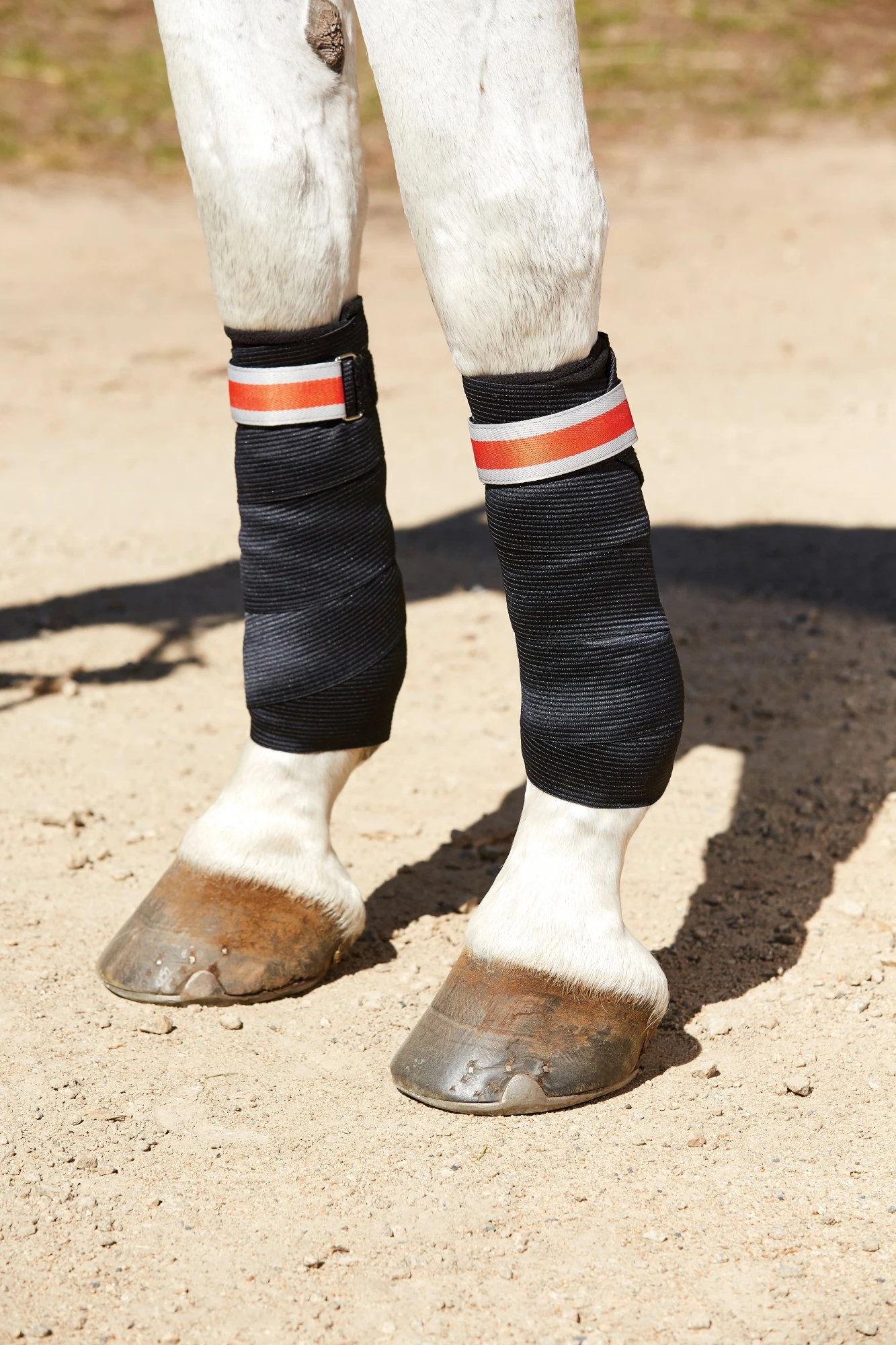 Weatherbeeta Therapy-Tec Support Bandages (Black/Silver/Red) 1 Weatherbeeta Therapy-Tec Support Bandages (Black/Silver/Red)