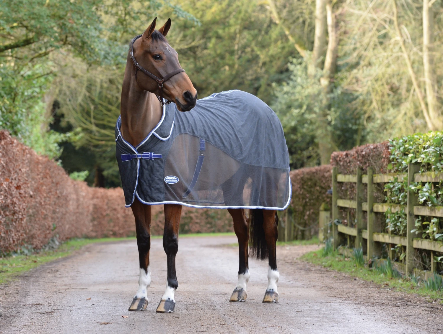 Weatherbeeta Wick Dri II Cooler Combo (Charcoal)) 2 Weatherbeeta Wick Dri II Cooler Combo (Charcoal)) - Image 2