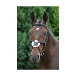 Hy Mexican Grackle Bridle With Rubber Reins -Professional Equestrian Shop 12381b