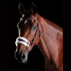 Collegiate Comfitec Sheepskin Bridle (Black) -Professional Equestrian Shop 12652d
