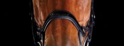 Collegiate Comfitec Patent Bridle (Brown) -Professional Equestrian Shop 12655c