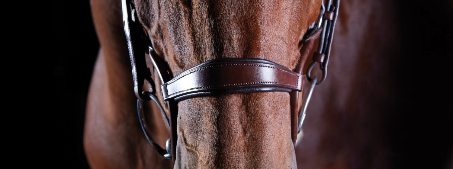 Collegiate Comfitec Crystal Bridle (Brown) 3 Collegiate Comfitec Crystal Bridle (Brown) - Image 3