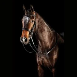 Collegiate Comfitec Weymouth Bridle (Black)