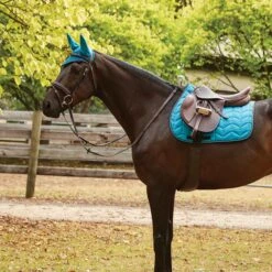 Collegiate Anatomic Girth (Brown) -Professional Equestrian Shop 12756c