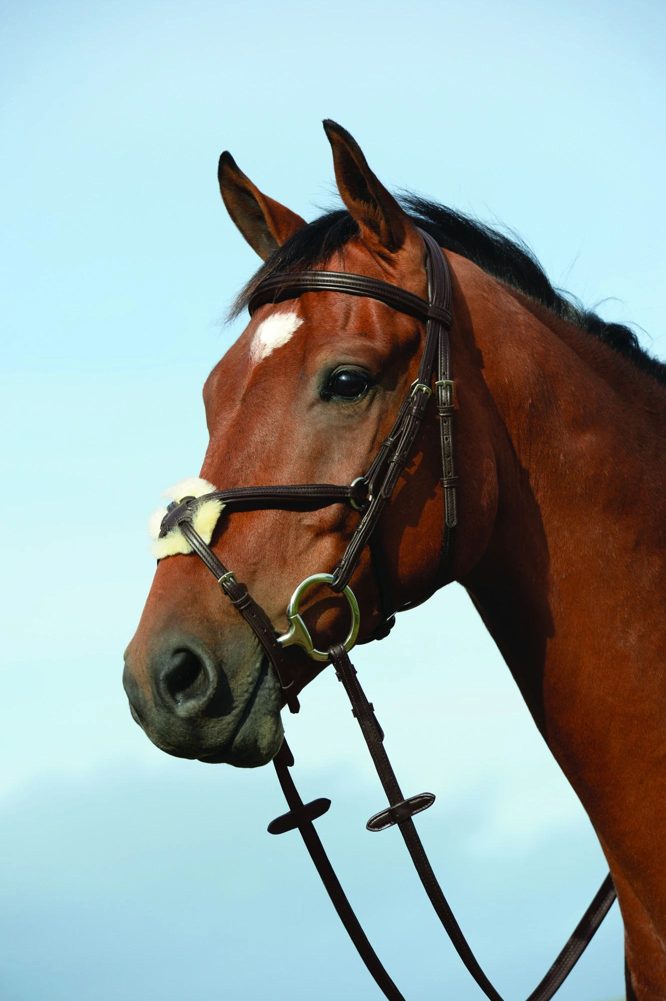 Collegiate Syntovia+ Padded Raised Figure 8 Bridle (Brown) 1 Collegiate Syntovia+ Padded Raised Figure 8 Bridle (Brown)