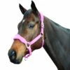 Roma Fleece Shaped Headcollar (Berry)