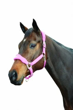 Roma Fleece Shaped Headcollar (Berry)