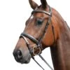 Kincade Padded Headpiece Flash Bridle (Brown)