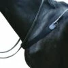 Kincade Elastic Showjumping Breastplate (Black)