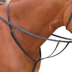 Kincade Running Martingale (Black)