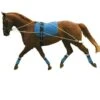 Kincade Lunging Training System