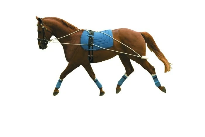 Kincade Lunging Training System 1 Kincade Lunging Training System