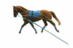 Kincade Lunging Training System 3 Kincade Lunging Training System -Professional Equestrian Shop 14156b